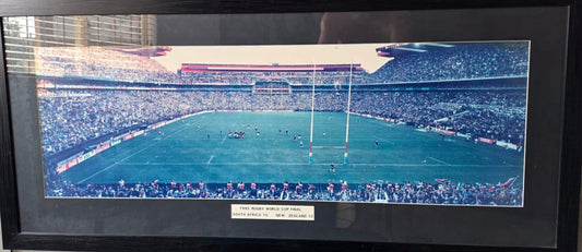 1995 Rugby World Cup – Chester Williams Original Photograph
